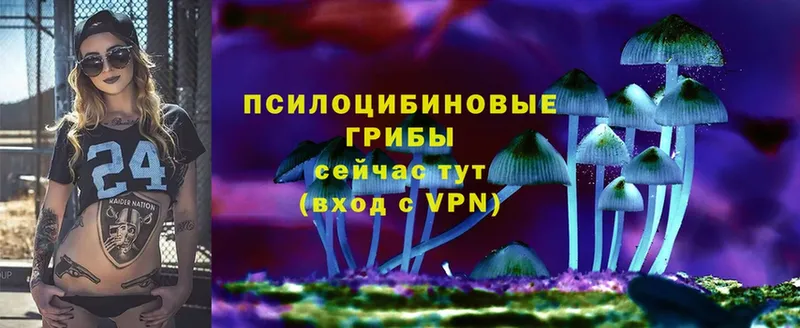 Галлюциногенные грибы Magic Shrooms  купить   Горбатов 